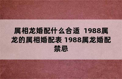 属相龙婚配什么合适  1988属龙的属相婚配表 1988属龙婚配禁忌